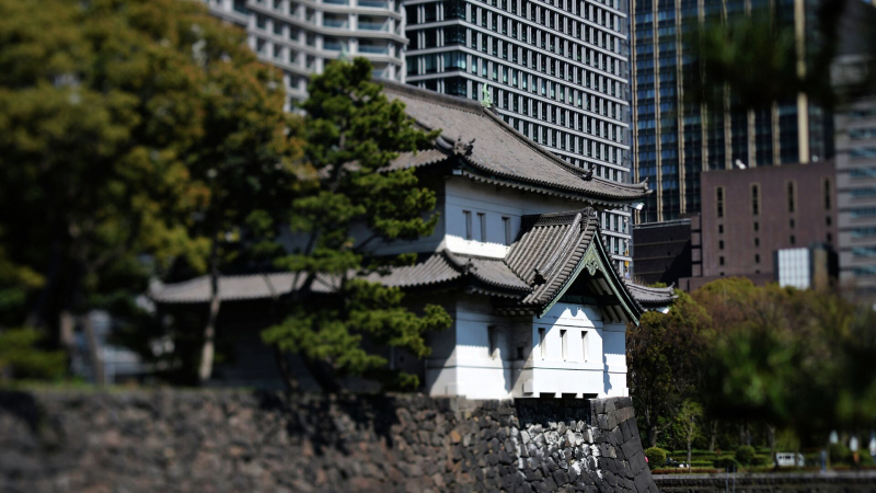 Туристам рассказали, что нужно учитывать при поездке в Японию