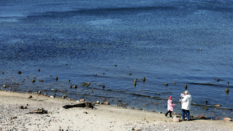 Туроператор рассказал о ценах на поездки по Золотому кольцу