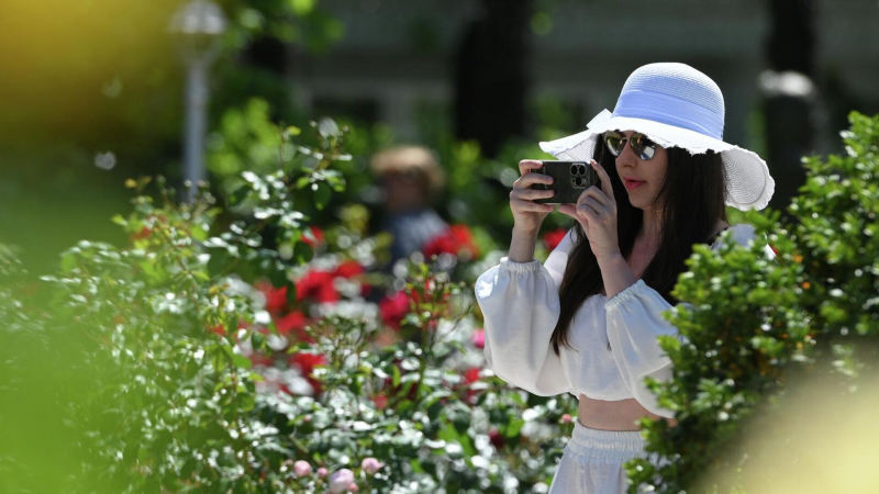 Исследование показало, сколько россиян планируют отдых за границей в мае