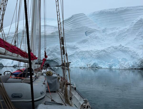 Юлия Барановская: "От красоты Антарктики хочется плакать"