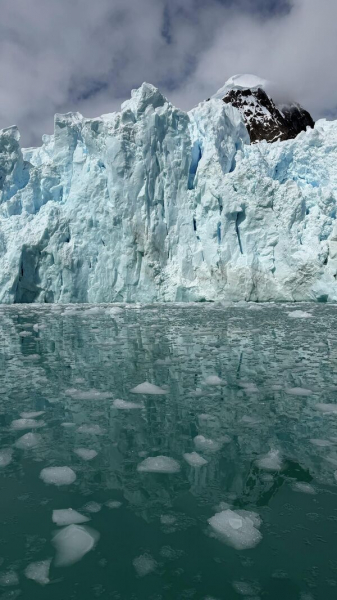 Юлия Барановская: "От красоты Антарктики хочется плакать"