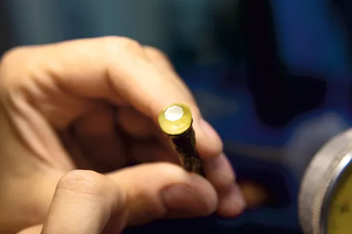 Как выглядит &laquo;янтарный бриллиант&raquo;: трендовое украшение весны 2026, которое делают только в России