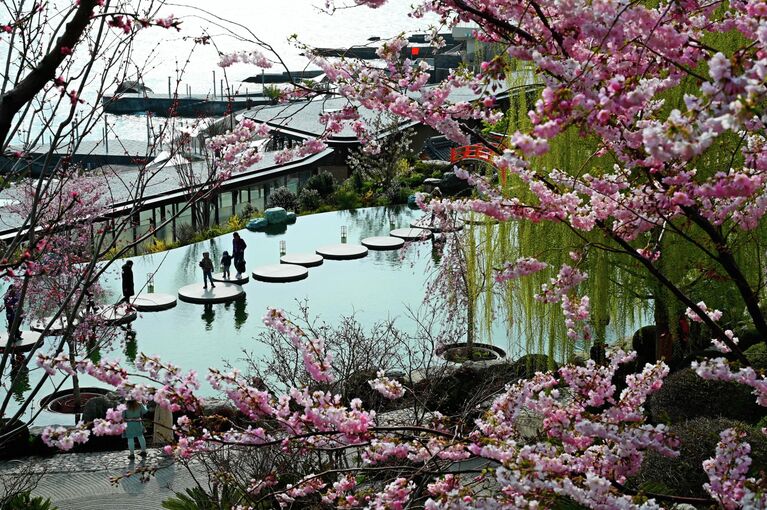 Крымская весна: самые красивые цветущие места полуострова