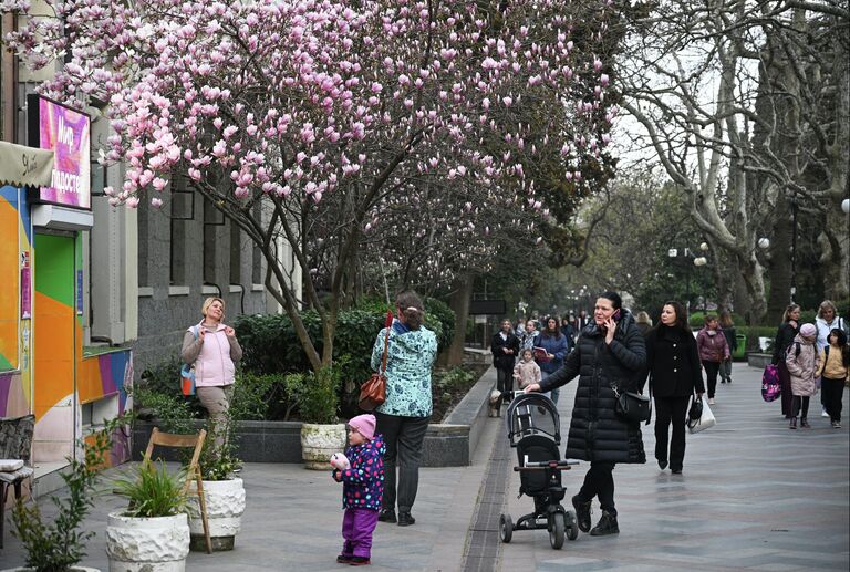 Крымская весна: самые красивые цветущие места полуострова