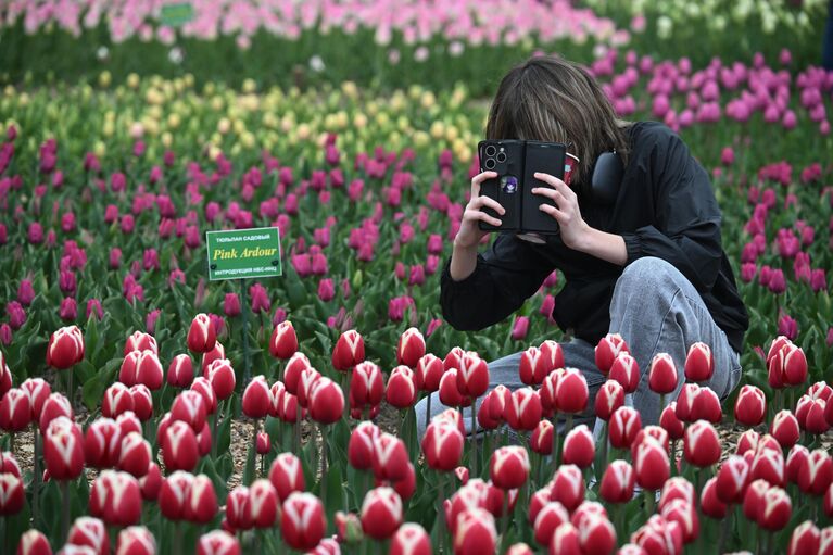Крымская весна: самые красивые цветущие места полуострова