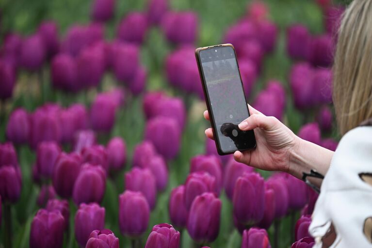 Крымская весна: самые красивые цветущие места полуострова