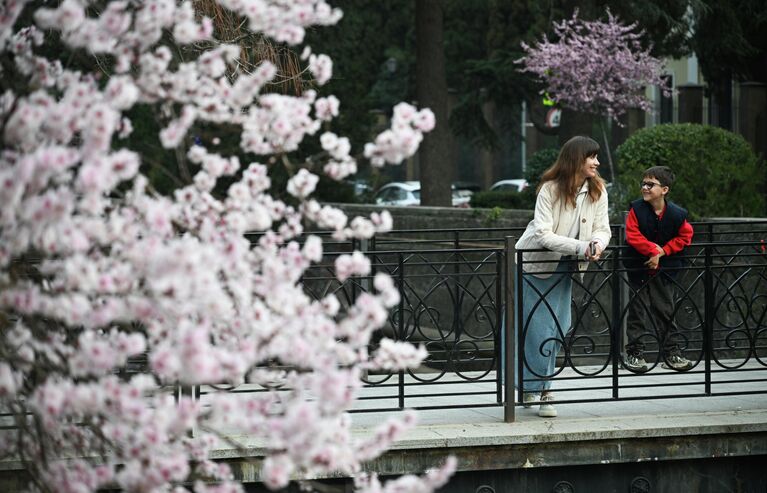 Крымская весна: самые красивые цветущие места полуострова