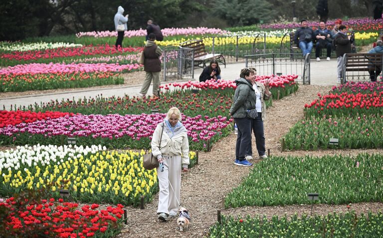Крымская весна: самые красивые цветущие места полуострова