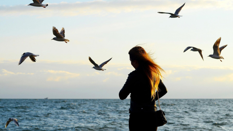 Названы самые популярные направления для отдыха на майские праздники