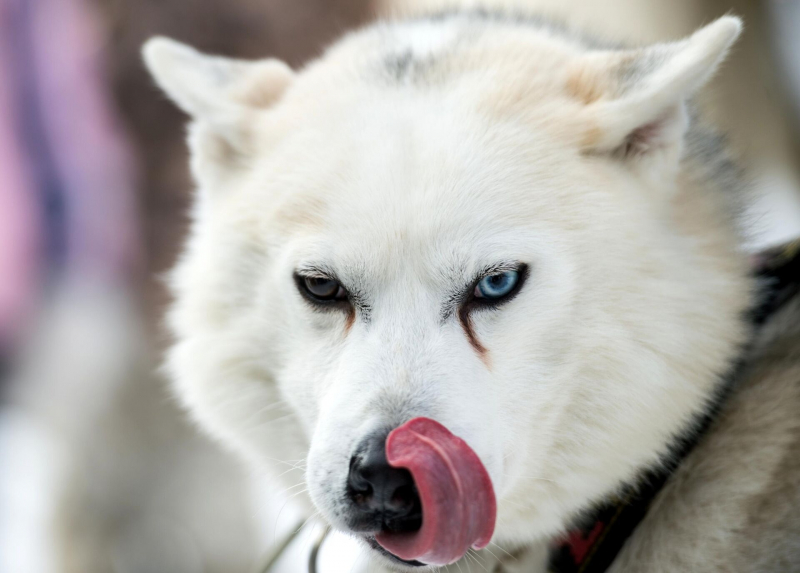 Открой Москву заново: куда сходить тем, кто уже был в Кремле и Третьяковке