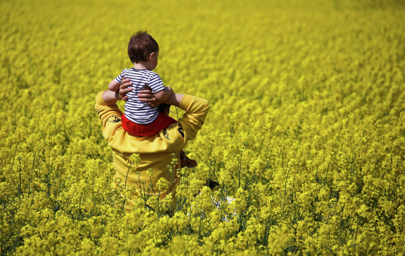 Плохая погода не помеха: где в России любоваться буйством цветов