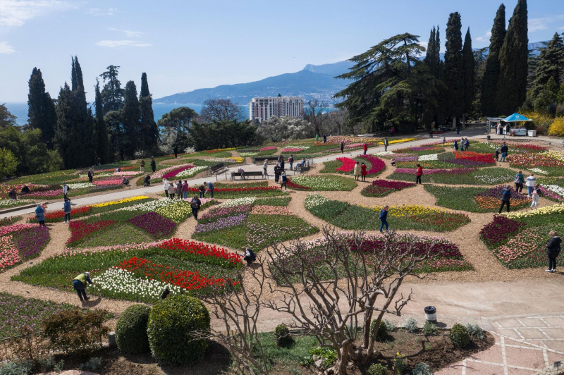 Плохая погода не помеха: где в России любоваться буйством цветов