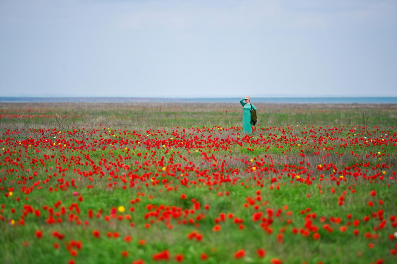 Плохая погода не помеха: где в России любоваться буйством цветов