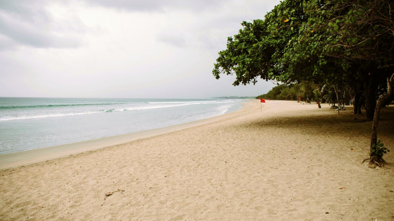 Россиянка подцепила вшей на Бали из-за шлема для скутера