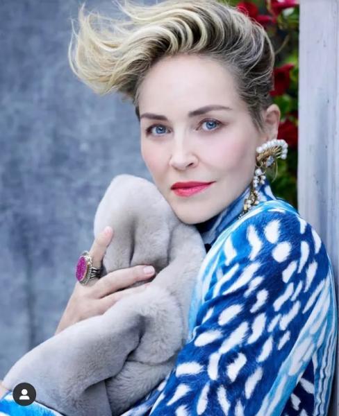 Секреты стиля от Шэрон Стоун: базовый образ с ярким акцентом