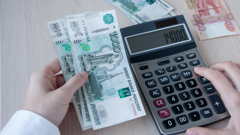 В Госдуме попросили проверить цены на авиабилеты