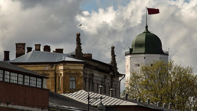 Гид по пригородам Петербурга: что смотреть в Павловске, Гатчине, Стрельне