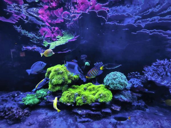 Уютный город по пути на море: как провести насыщенные выходные в Воронеже